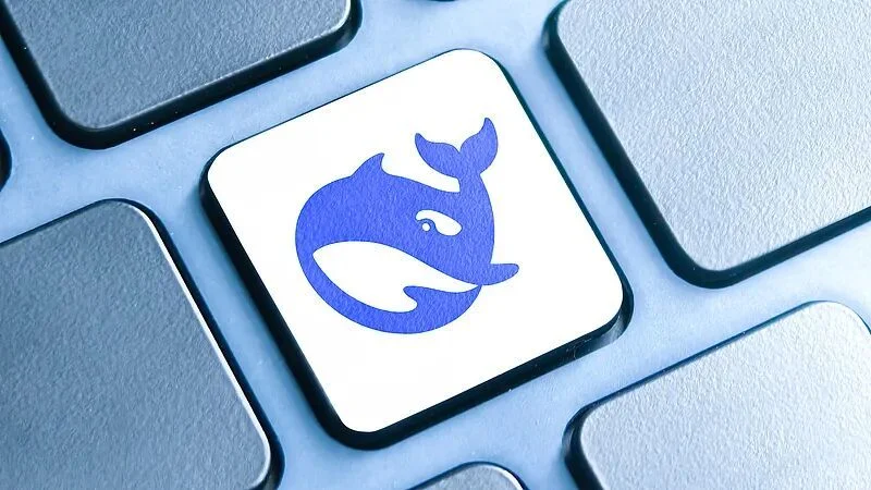 DeepSeek api开放平台文档分节旁证图